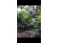 666 Whyanbeel Road, Whyanbeel QLD 4873