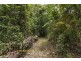 130 Rykers Road, Cape Trib, Daintree QLD 4873