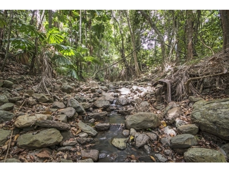 130 Rykers Road, Cape Trib, Daintree QLD 4873