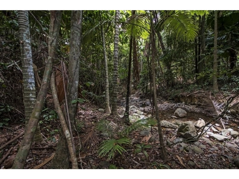 130 Rykers Road, Cape Trib, Daintree QLD 4873