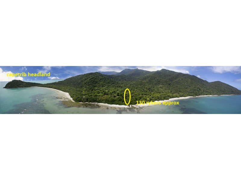 130 Rykers Road, Cape Trib, Daintree QLD 4873