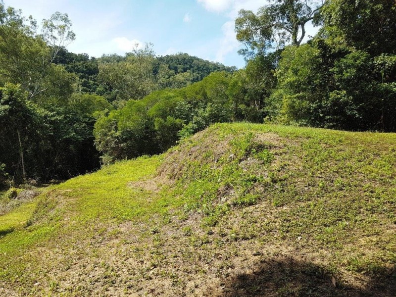 14 Idriess Close Degarra, Bloomfield QLD 4895