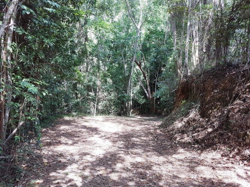 14 Idriess Close Degarra, Bloomfield QLD 4895