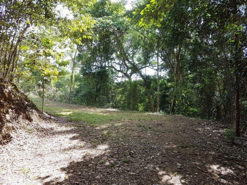 14 Idriess Close Degarra, Bloomfield QLD 4895