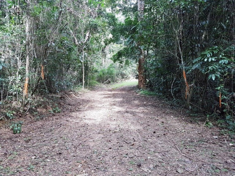 14 Idriess Close Degarra, Bloomfield QLD 4895