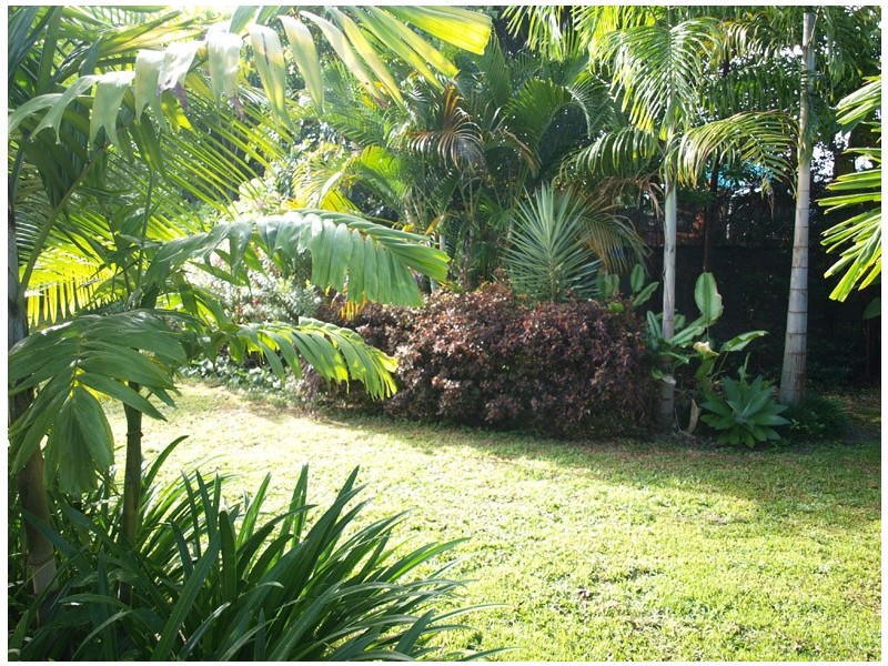 7 Mossman Street, Mossman QLD 4873