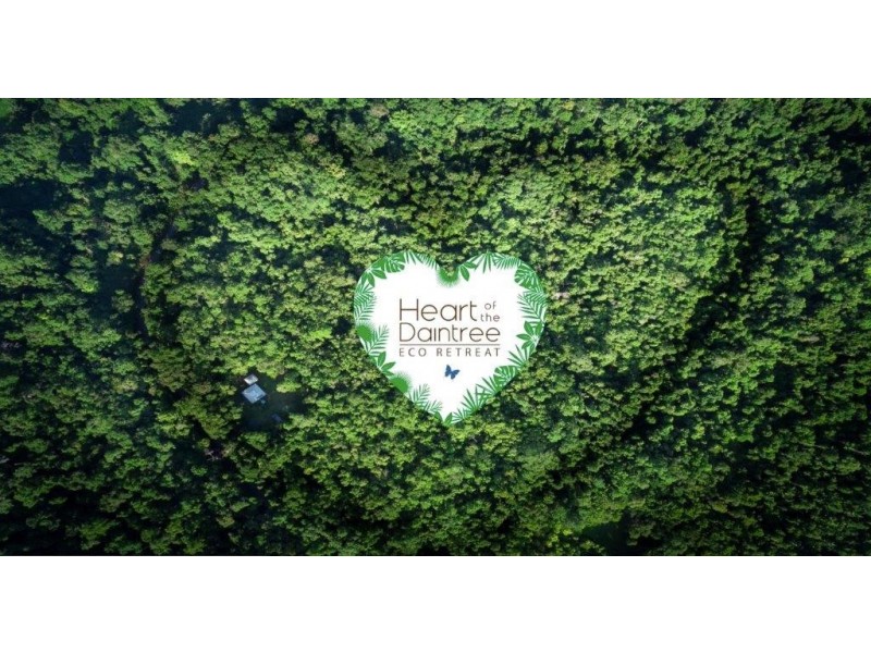 33 Carbeen Road, Daintree QLD 4873