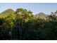 33 Carbeen Road, Daintree QLD 4873
