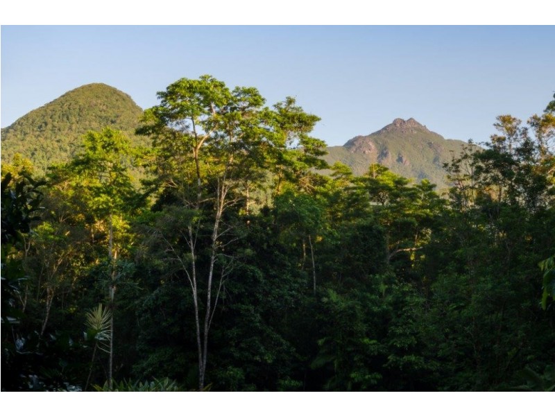 33 Carbeen Road, Daintree QLD 4873