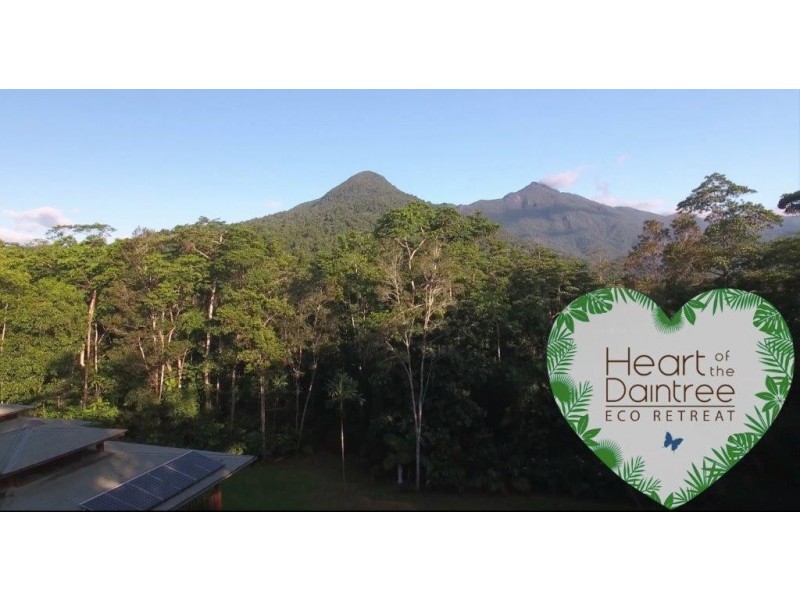 33 Carbeen Road, Daintree QLD 4873