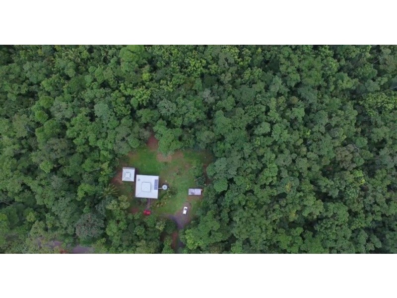 33 Carbeen Road, Daintree QLD 4873