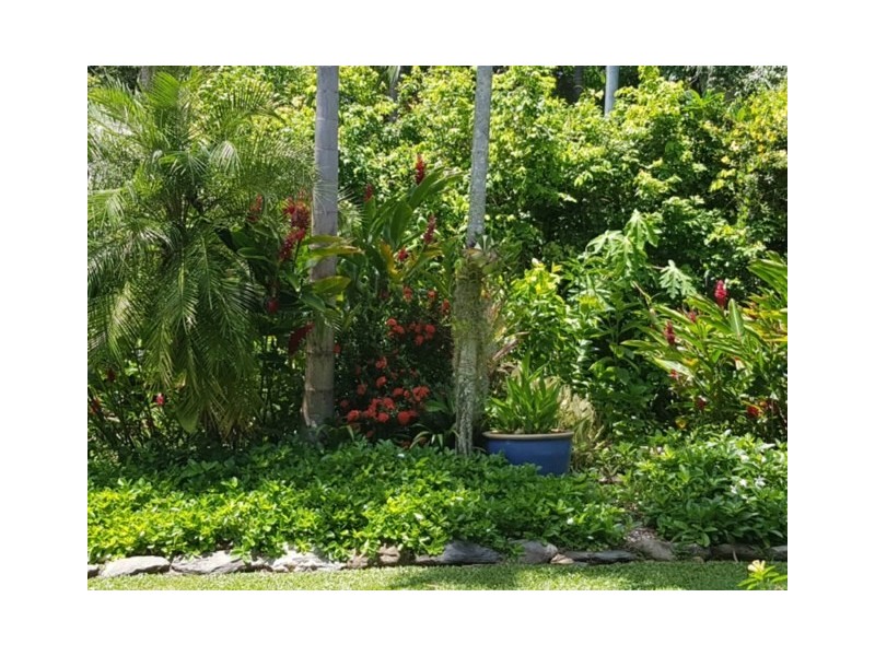 3/4-6 Atoll Close, Port Douglas QLD 4877
