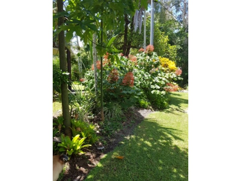 3/4-6 Atoll Close, Port Douglas QLD 4877