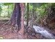 64 Silver Ash Road, Daintree QLD 4873