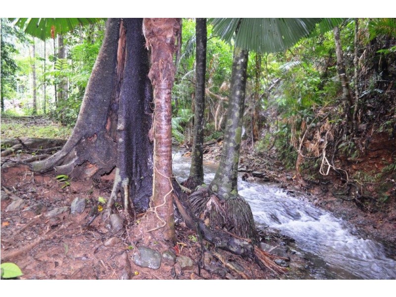 64 Silver Ash Road, Daintree QLD 4873