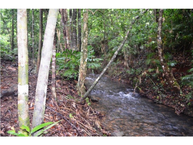 64 Silver Ash Road, Daintree QLD 4873
