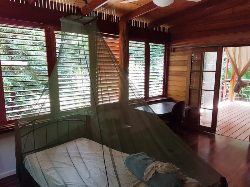 154 Spurwood Road, Daintree QLD 4873