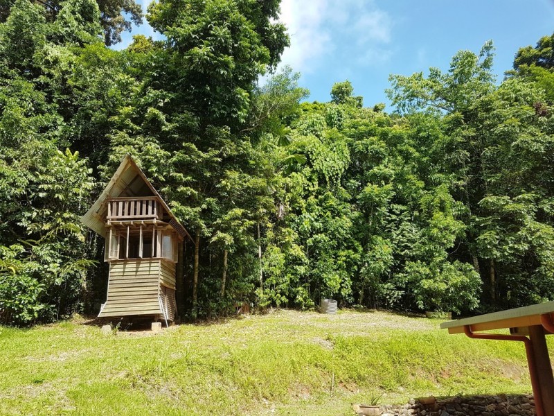 154 Spurwood Road, Daintree QLD 4873
