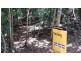 Lot 514 Silver Ash Road, Daintree QLD 4873