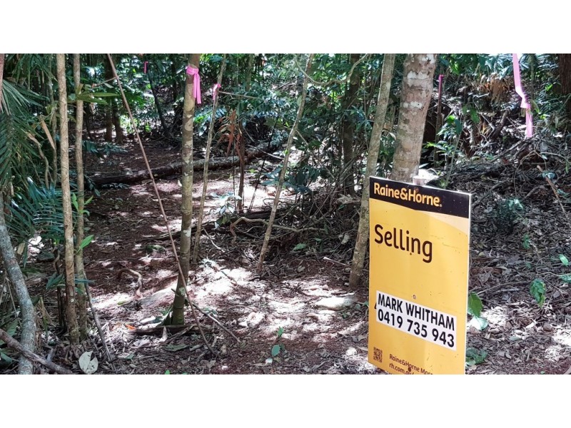Lot 514 Silver Ash Road, Daintree QLD 4873