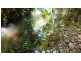 Lot 514 Silver Ash Road, Daintree QLD 4873