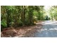 Lot 514 Silver Ash Road, Daintree QLD 4873