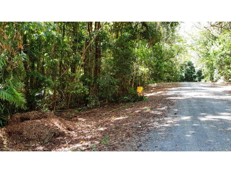Lot 514 Silver Ash Road, Daintree QLD 4873