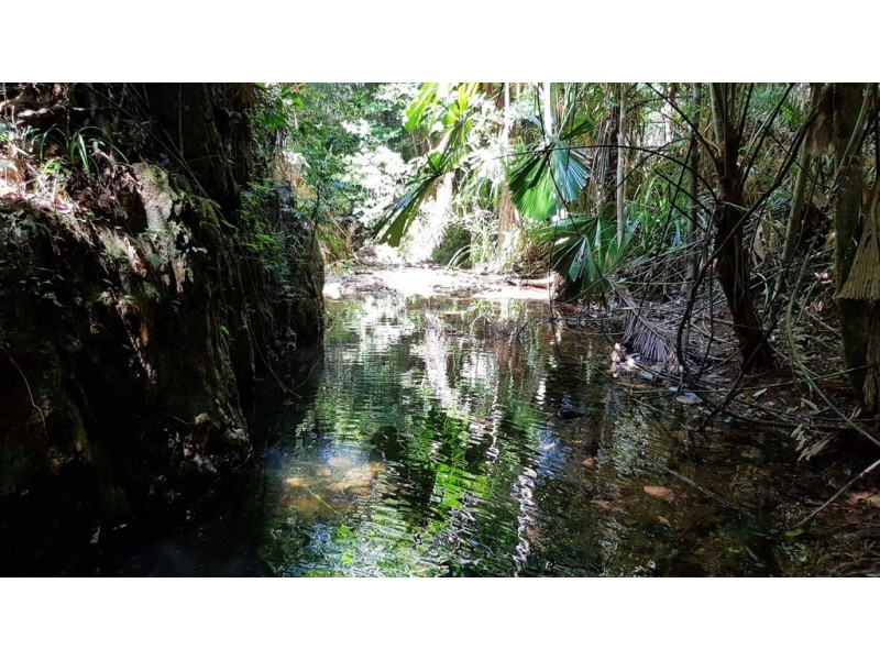 Lot 514 Silver Ash Road, Daintree QLD 4873
