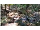 Lot 514 Silver Ash Road, Daintree QLD 4873