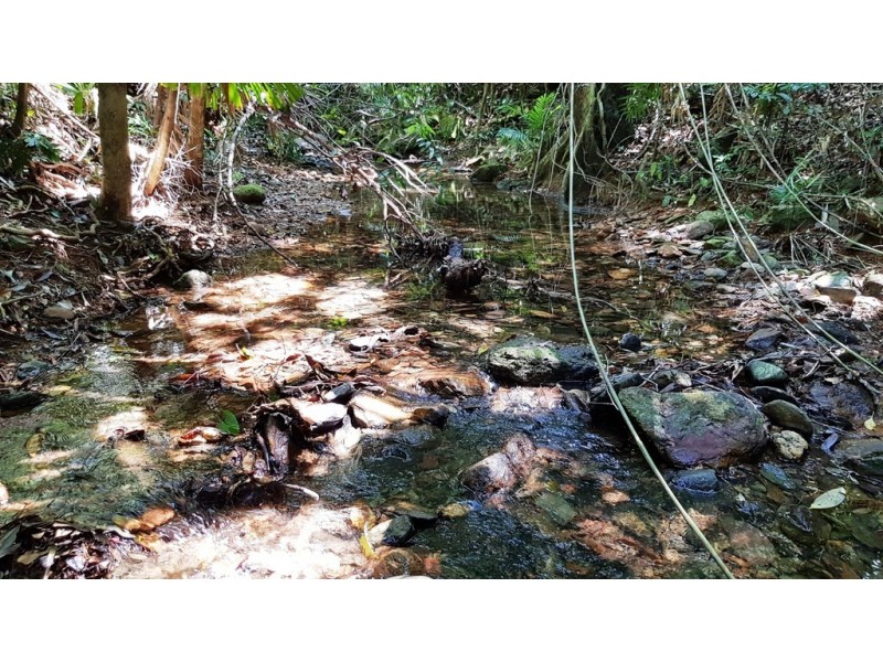 Lot 514 Silver Ash Road, Daintree QLD 4873
