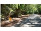Lot 514 Silver Ash Road, Daintree QLD 4873