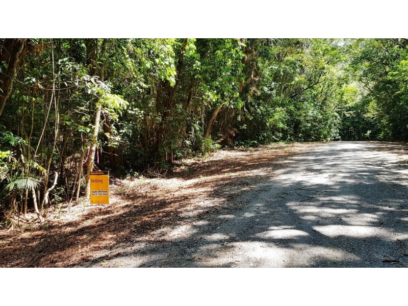 Lot 514 Silver Ash Road, Daintree QLD 4873