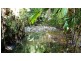 Lot 514 Silver Ash Road, Daintree QLD 4873
