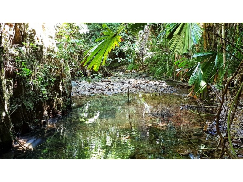 Lot 514 Silver Ash Road, Daintree QLD 4873