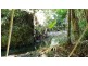 Lot 514 Silver Ash Road, Daintree QLD 4873