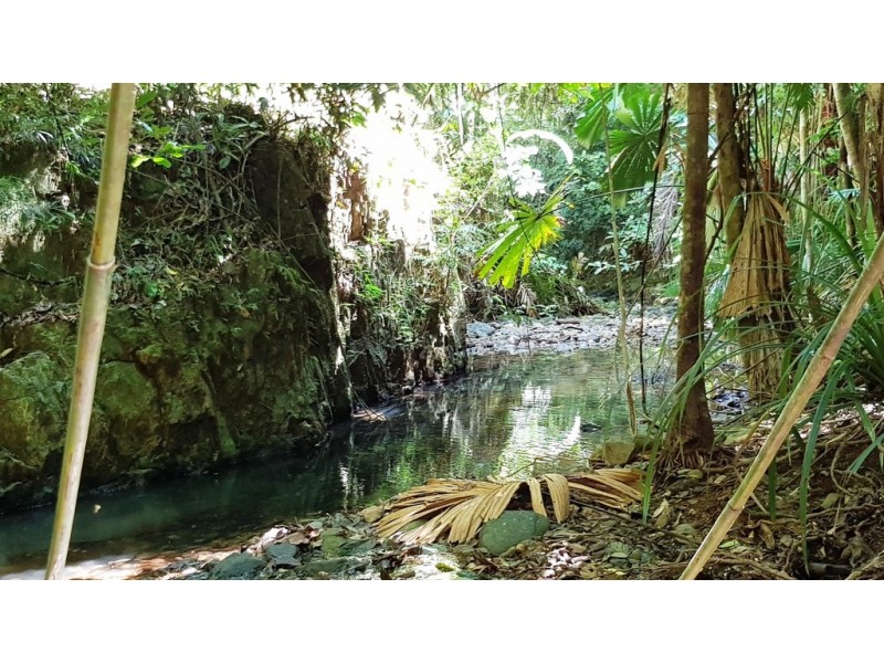 Lot 514 Silver Ash Road, Daintree QLD 4873