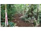 Lot 514 Silver Ash Road, Daintree QLD 4873