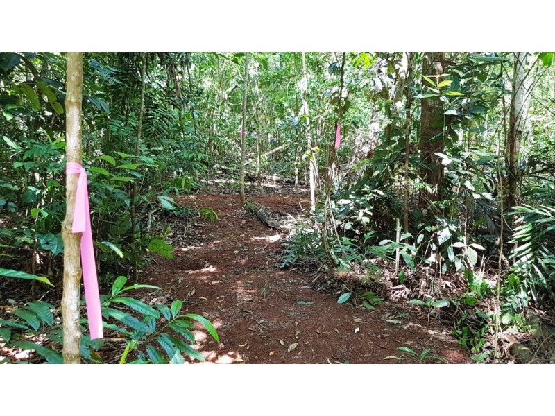 Lot 514 Silver Ash Road, Daintree QLD 4873