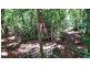 Lot 514 Silver Ash Road, Daintree QLD 4873