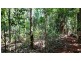 Lot 514 Silver Ash Road, Daintree QLD 4873