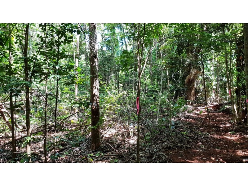 Lot 514 Silver Ash Road, Daintree QLD 4873