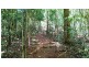 Lot 514 Silver Ash Road, Daintree QLD 4873