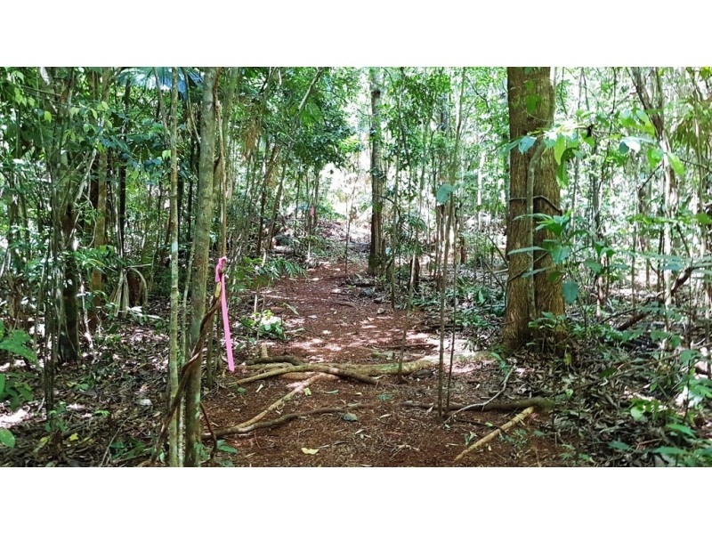 Lot 514 Silver Ash Road, Daintree QLD 4873