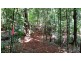 Lot 514 Silver Ash Road, Daintree QLD 4873
