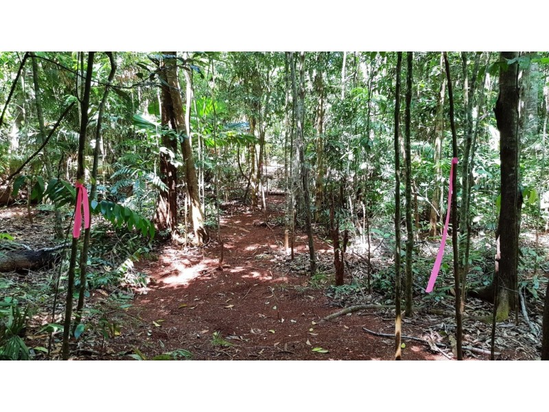 Lot 514 Silver Ash Road, Daintree QLD 4873