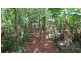 Lot 514 Silver Ash Road, Daintree QLD 4873