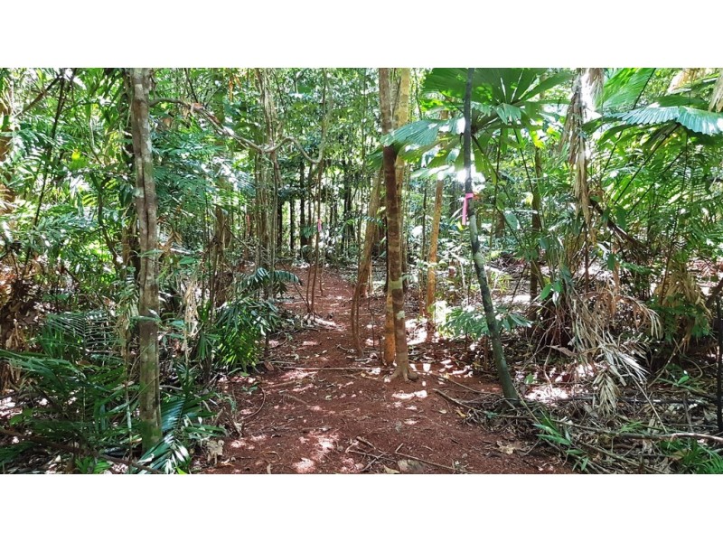 Lot 514 Silver Ash Road, Daintree QLD 4873