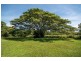 315 Mowbray River Rd, Mowbray QLD 4877