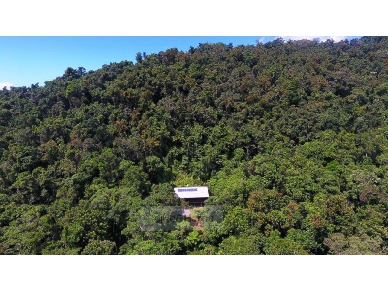 50 Carbeen Road Diwan, Daintree QLD 4873