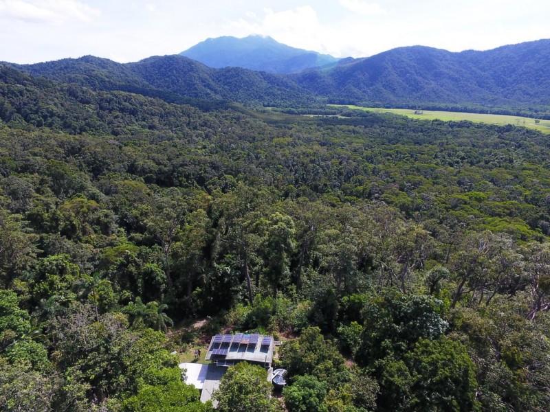 63 Old Forest Creek Road, Daintree QLD 4873